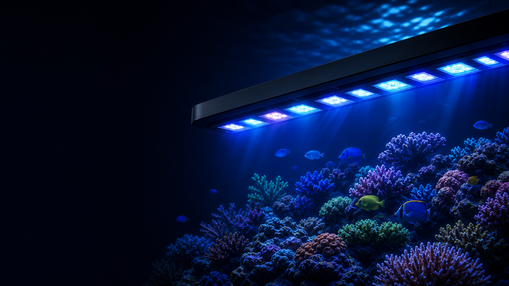 SMART AQUA full-spectrum lighting over a reef aquarium